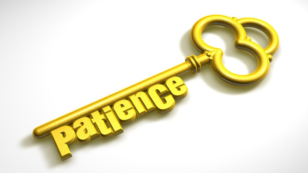 THE ART OF MASTERING PATIENCE